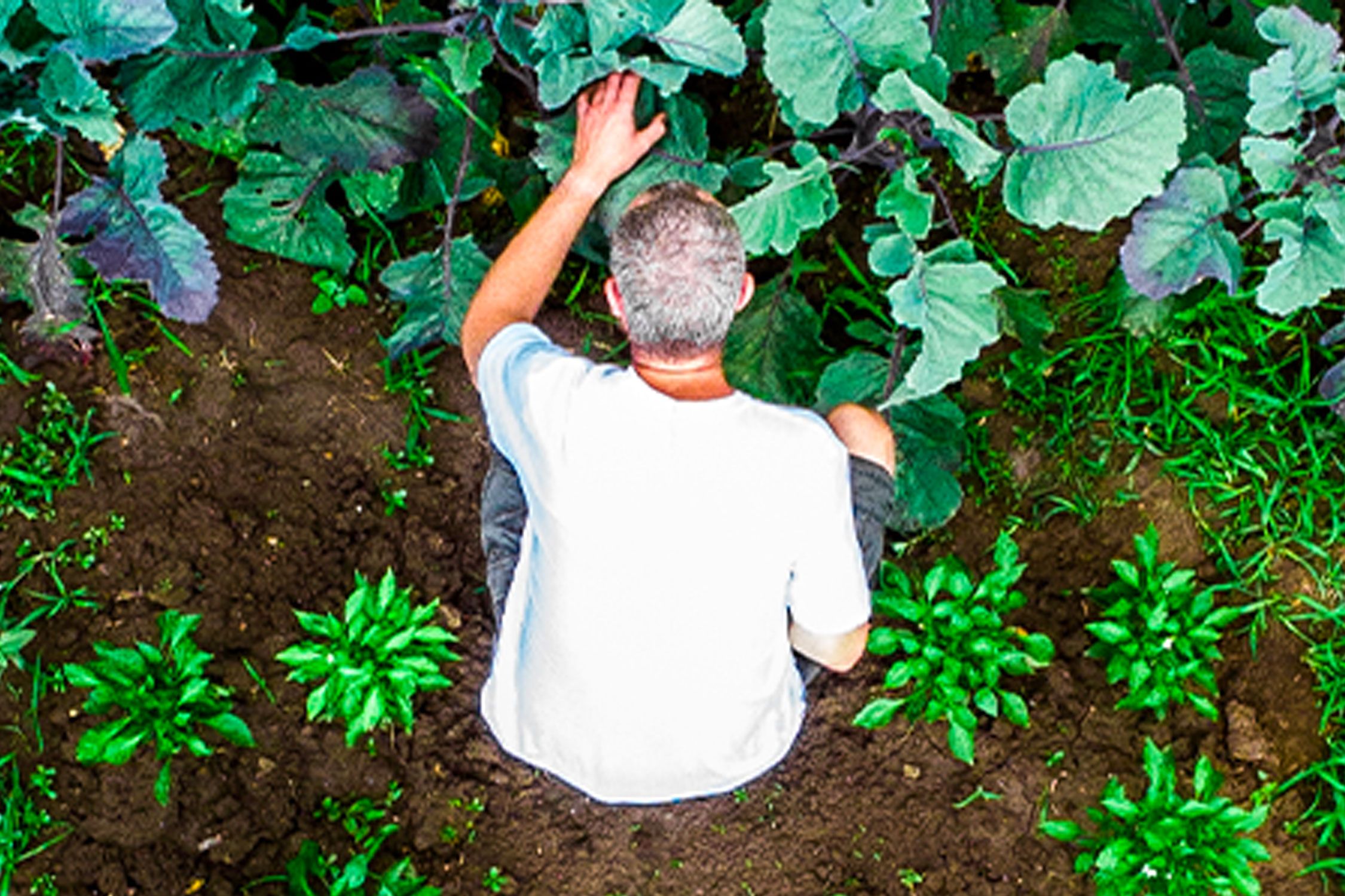 Man working in the dirt with vegetable garden