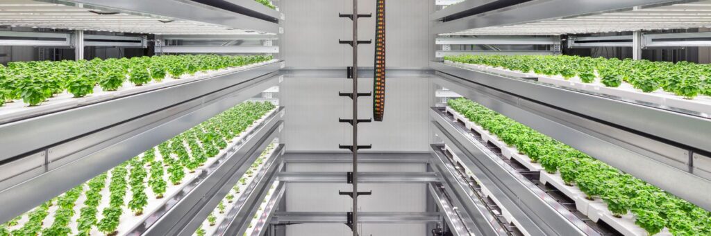 Vertical Farming facility