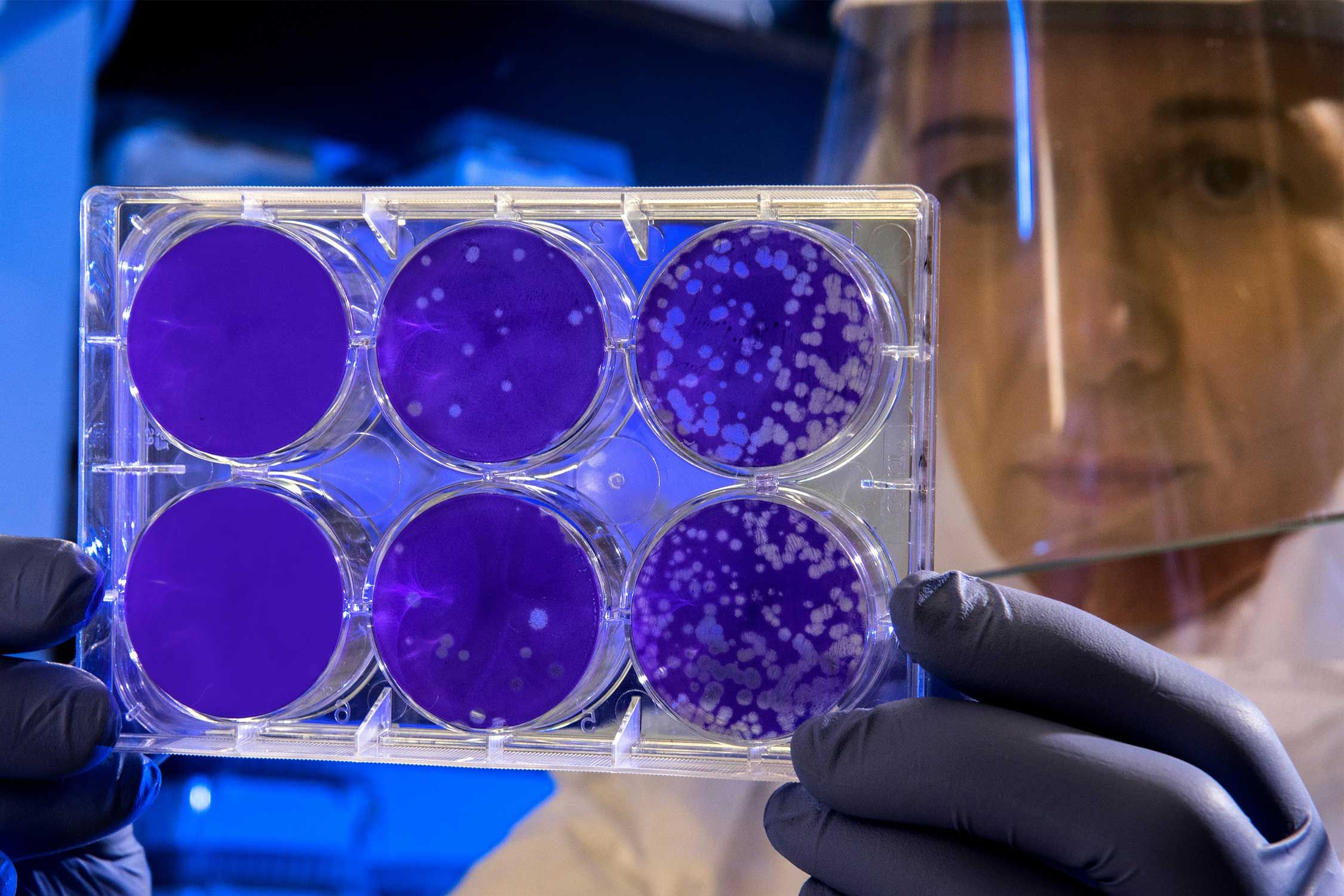 scientist examines flu particle mixtures