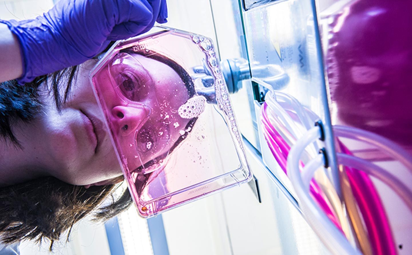 Scientist handling lab equipment