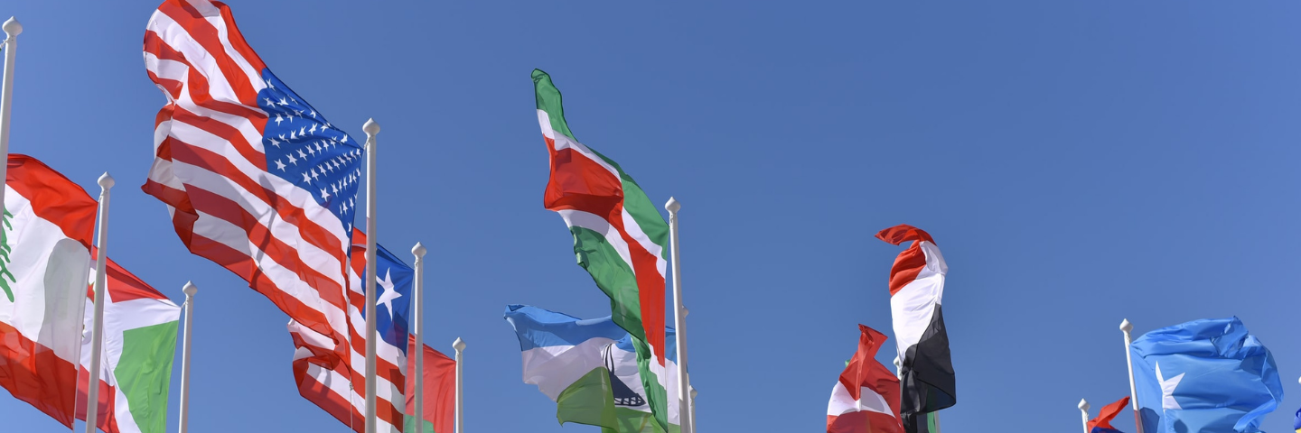 International flags waving