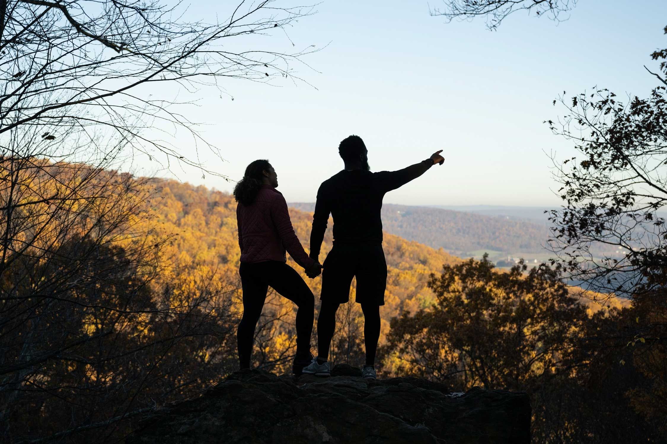 Hikers looking at a scenic forest