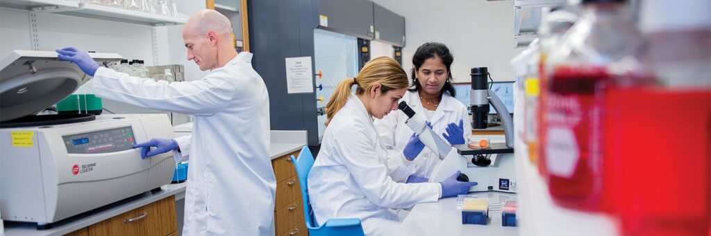 workers in a scientific lab space