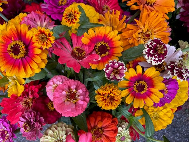 A bouquet of colorful flowers
