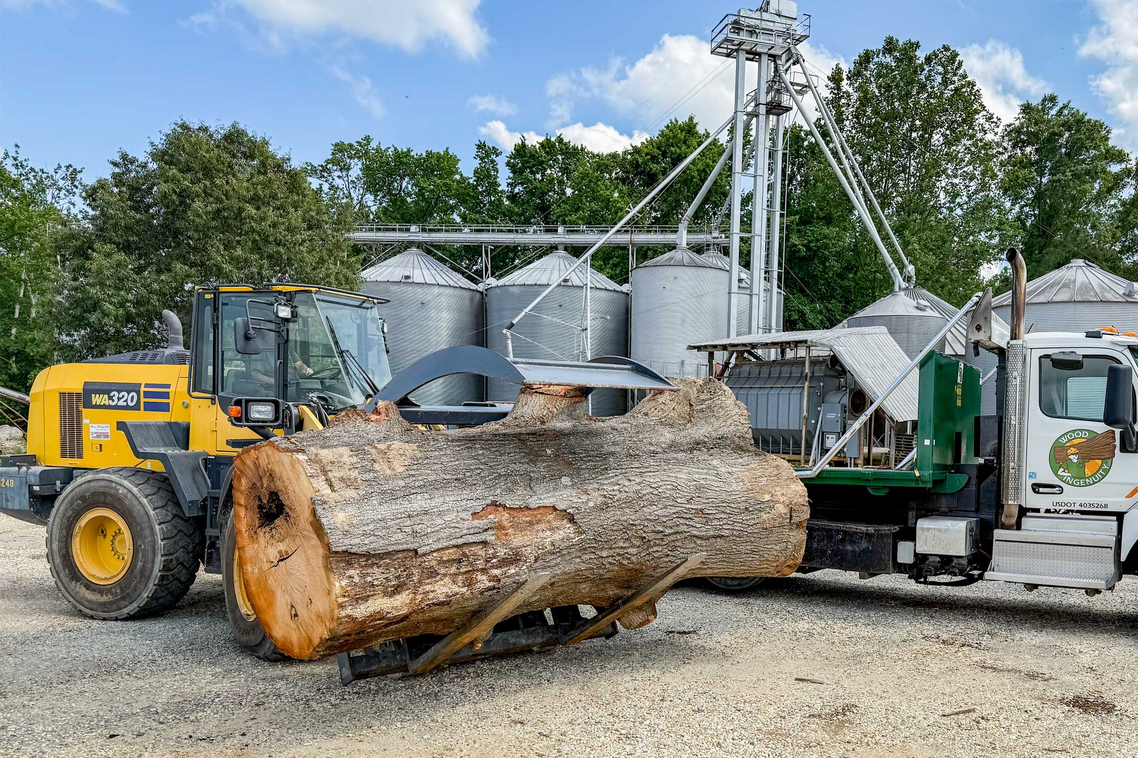 Wood Ingenuity's tractor moving an old tree