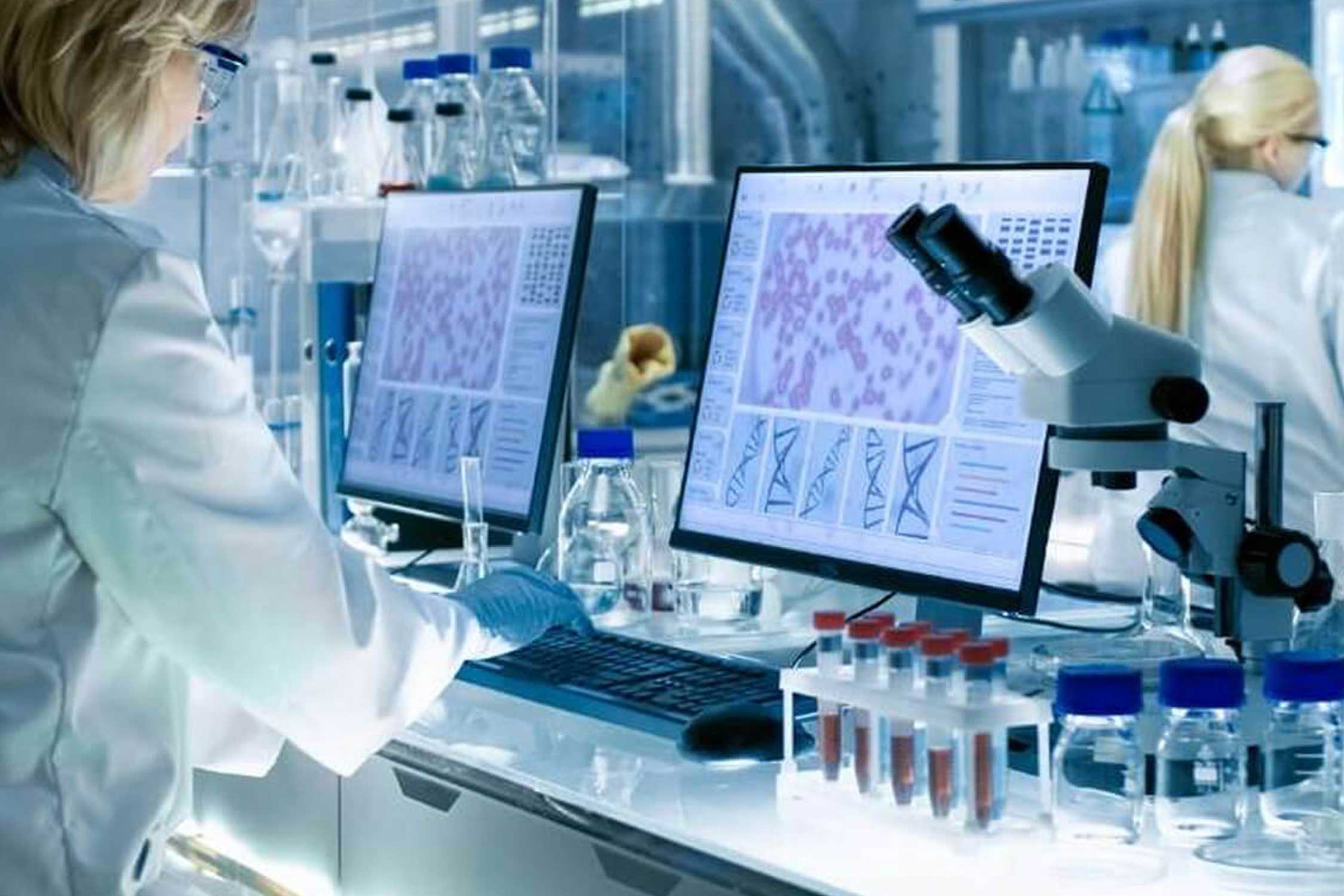 a scientist in a lab looks at cells on a computer screen